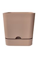 2.3L Beige