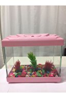 لوازم جانبی آکواریوم کوچک پت شاپ ابراهیملی 20 سانتی متری 4 لیتری صورتی-thumb