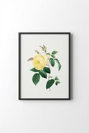 slicing attribute product