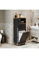 Anthracite-Atlantic Pine
