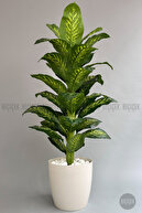 GREEN-KIRIKBEYAZ