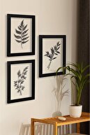 Reggina Black