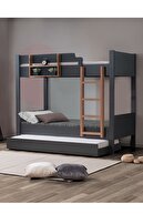 Anthracite-Walnut