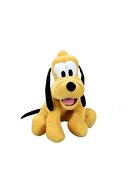Pluto Core