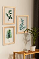 Reggina Eucalyptus
