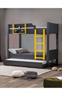 Anthracite-Yellow