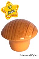 Light Beech