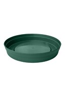 14.5cm Green