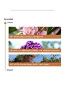 عطر مردانه ادو پرفیوم (ادپ) 50 میلی لیتری فورمن پرفیوم-thumb