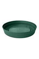 21.5cm Green
