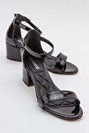 BLACK SPRING