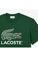 تیشرت مردانه منظم یقه گرد با چاپ سبز-thumb