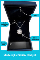Premium Box with Light - Silver