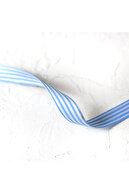Blue/White
