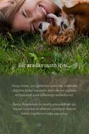 سرم Chaga Collagen Charking سرم (Korendy) ضد قارچ قارچ کلاژن وگان 30 میلی لیتر-thumb