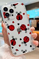 ladybug