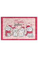 Cute Cats
