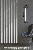 Silver Plexiglas