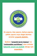 رودخانه گندم باریک ارگانیک (رودخانه کودک) شیشه 300 گرم-thumb