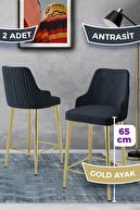 Anthracite Chair Gold Plated Leg