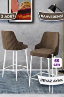 Chairs Coffee Legs White