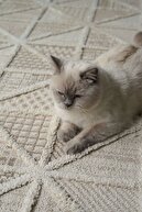 فرش اتاق نشیمن با طرح‌های قومی بافته‌شده مدرن و ضد گرد و غبار ساکورا 2201-thumb