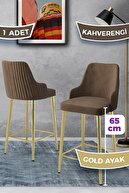 Brown Chair Gold Plated Leg