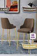 Brown Chair Gold Plated Leg