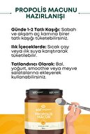 پروپولیس خمیر شیر زنبور عسل و پروپولیس گرده 240 گرم-thumb