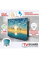TV Guard Samsung Ue65q80rat 65" Inc 3 Mm Tv Ekran Koruyucu /