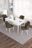 Table White Chairs Zebra Pattern