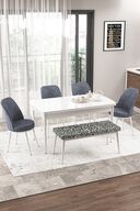 WHITE 4 SMOKED CHAIRS 1 ZEBRA BENCH