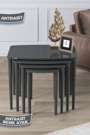 Coffee Table Anthracite Feet Anthracite