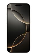 iPhone 16 Pro Max 256 GB تیتانیوم طبیعی (وارد کننده تضمین شده است-thumb