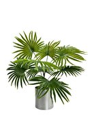 silver metal potted
