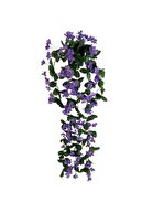 purple bougainvillea