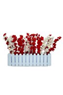 red white Bahardan