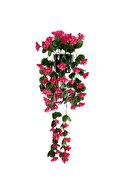 fuchsia bougainvillea1