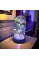 ویژه ولنتاین و روز مادر، رز بی‌نهایت تزیینی، گل رز نورانی در زنگ، فانوس نورانی-thumb