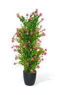 pink enameled