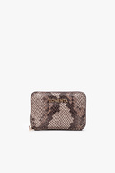 Brown Snake