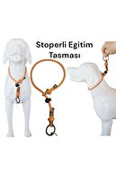 Telefon bilan Omsk kaltaklar Yosh mushukchalar