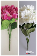Fuchsia-Ecru