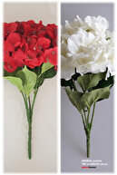 Red-Ecru