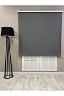 Anthracite /Gray