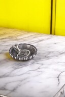 Silver Antiquity