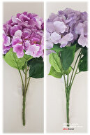 Lilac-Lilac
