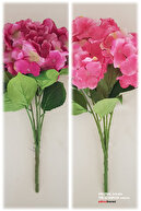 Fuchsia-Dark Pink