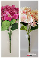 Fuchsia-Light Pink