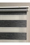 Anthracite /Gray